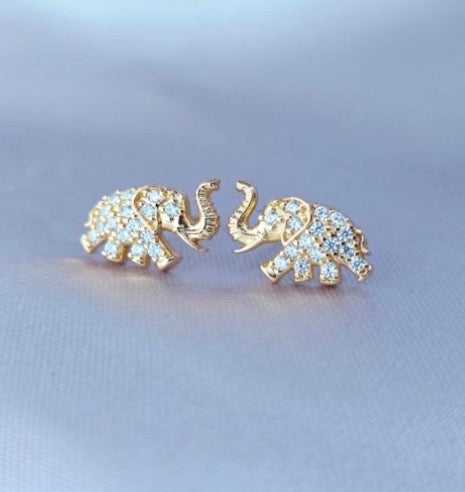 Broquel Elefante